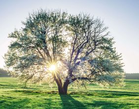 Energy Sustainability And Innovation Enel Group