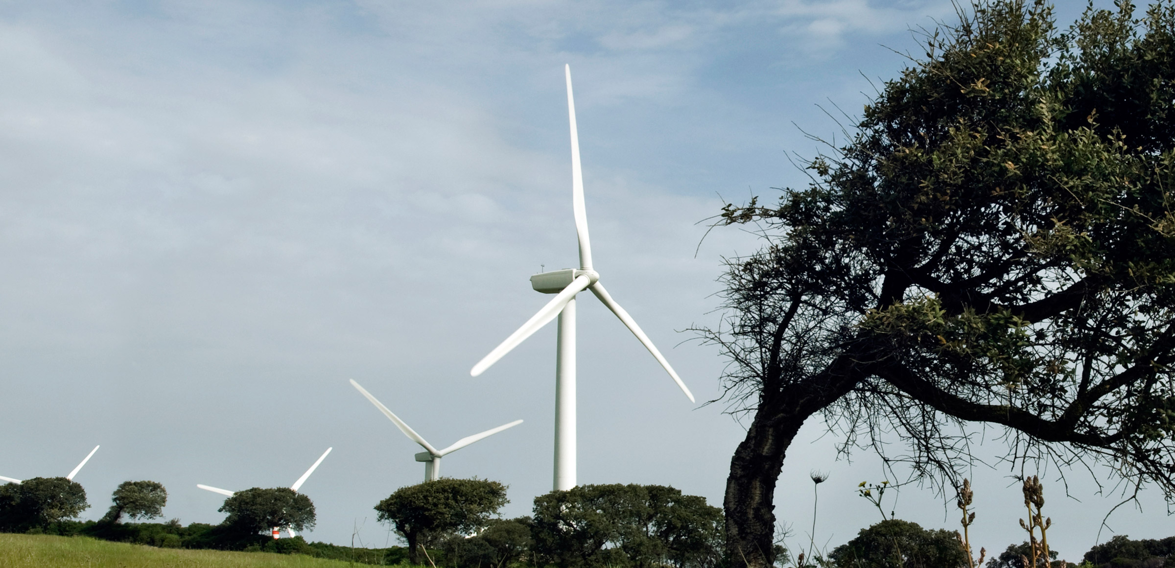 Enel to accelerate growth in Brazil's renewable energy